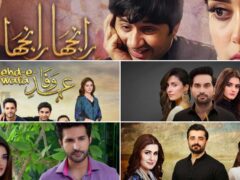 top-pakistani-dramas-of-2019-that-should-not-be-missed