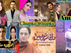 top-upcoming-2021-pakistani-dramas-that-everyone-should-watch