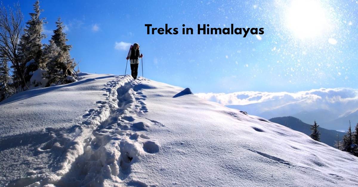 famous-treks-in-the-himalayas