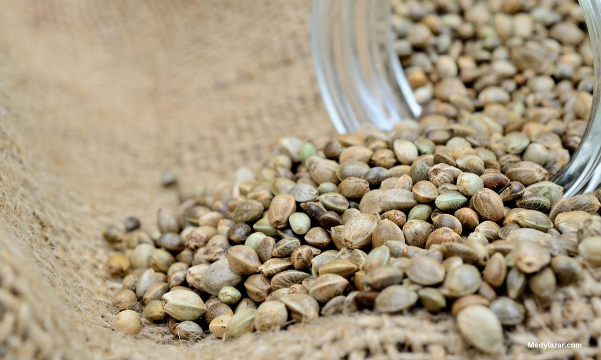 There-Are-Some-Health-Benefits-To-Cannabis-Seeds