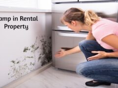 damp-issues-in-rental-property