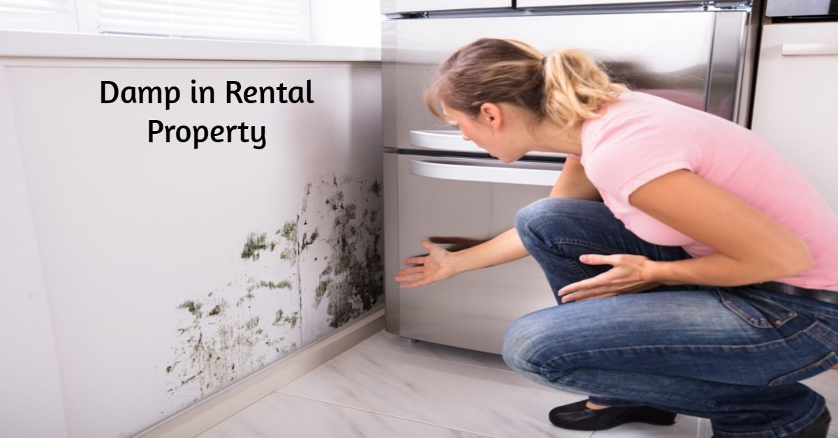 damp-issues-in-rental-property